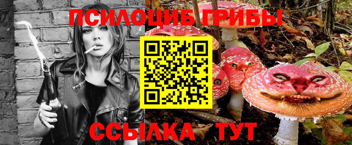 Псилоцибиновые грибы Magic Shrooms  Вход с VPN  где купить   Большой Камень  Галлюциногенные грибы Cubensis 