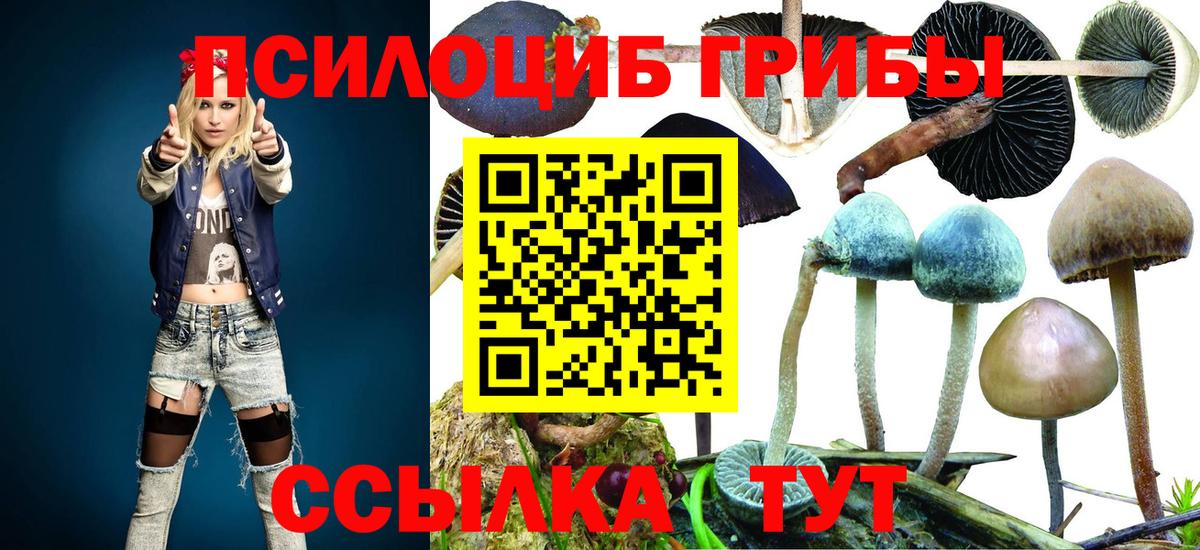Псилоцибиновые грибы мухоморы Большой Камень